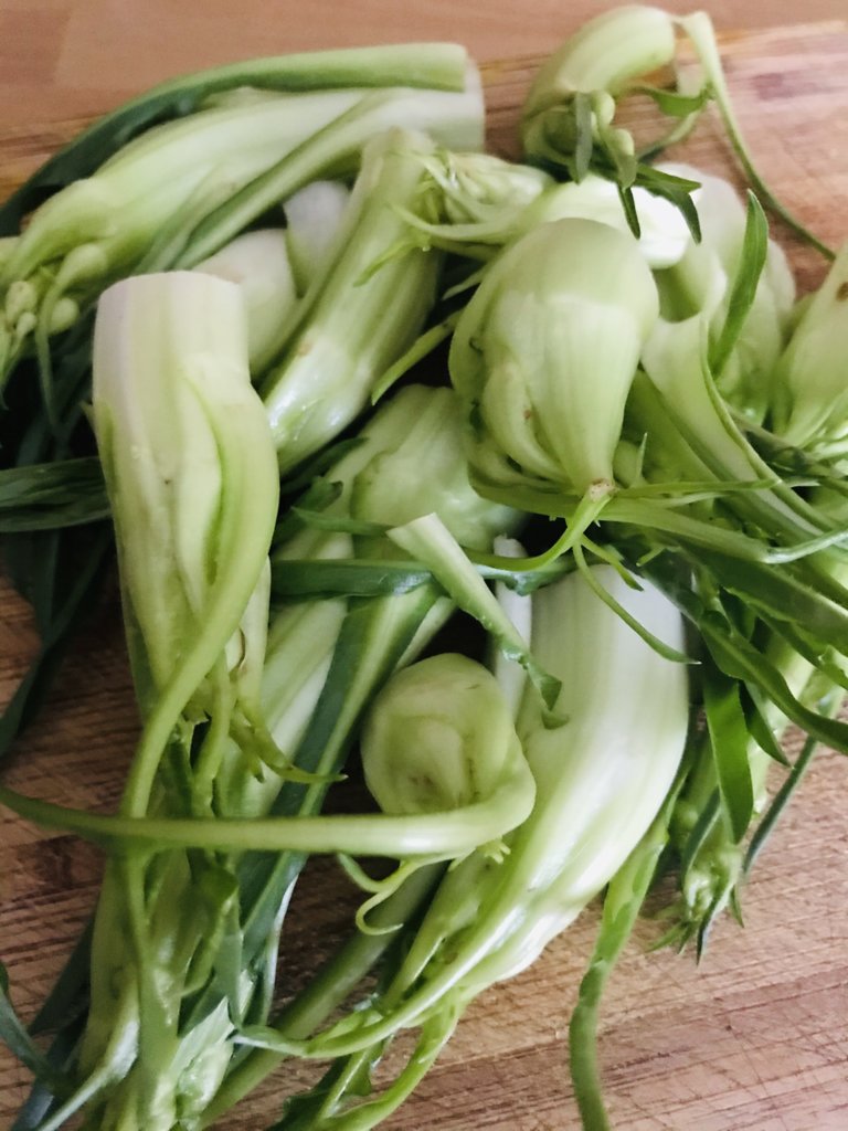 Puntarelle romane.jpeg