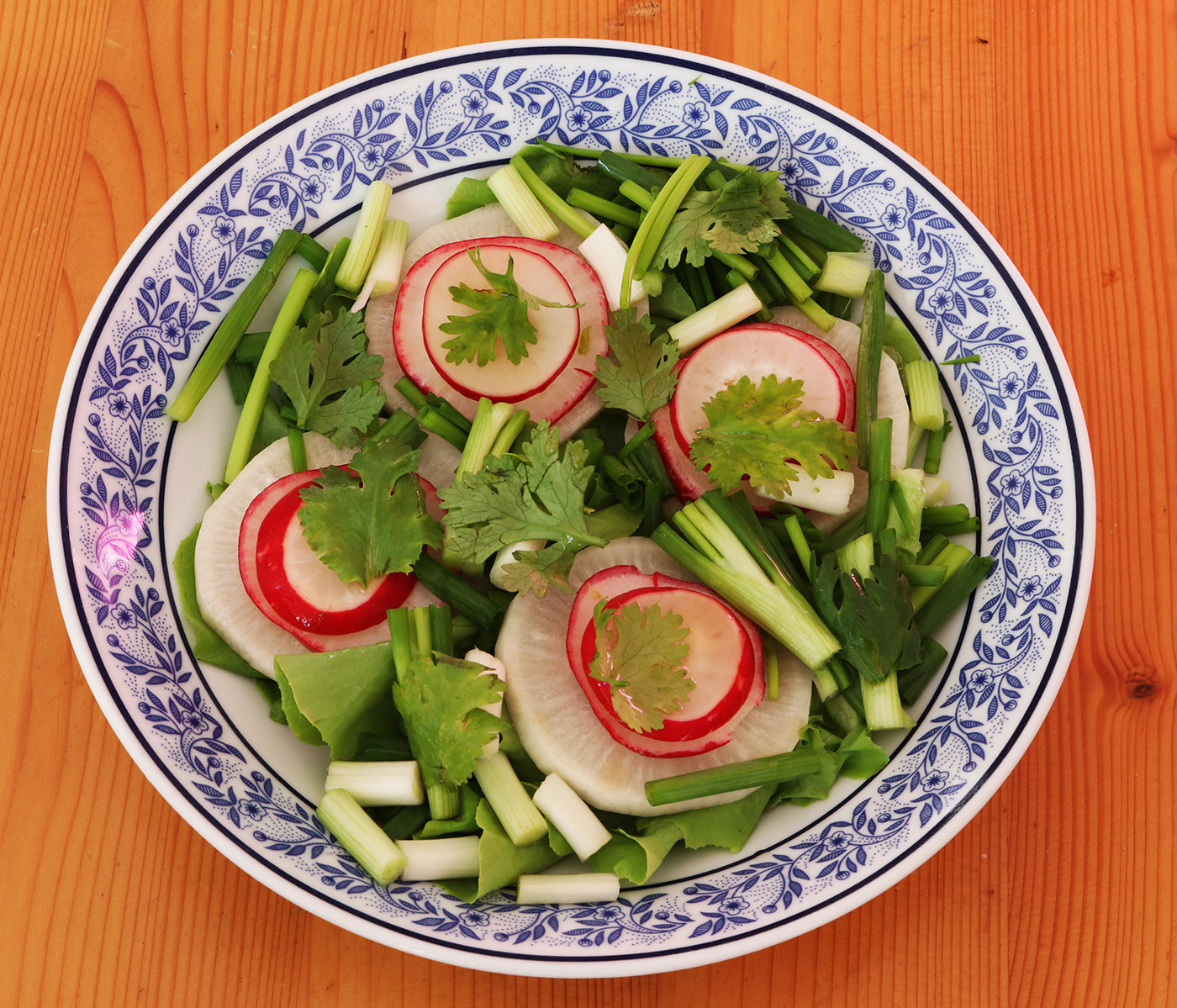 Radish salad s.jpg