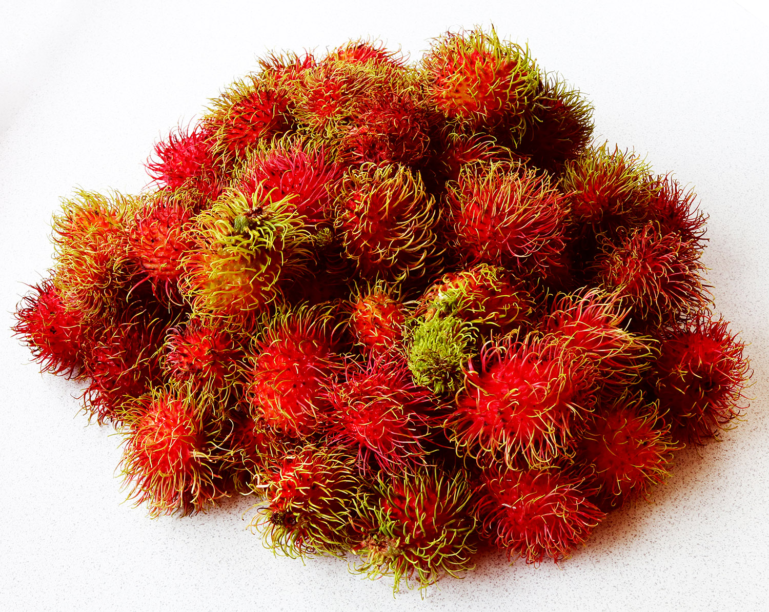 Rambutan s.jpg