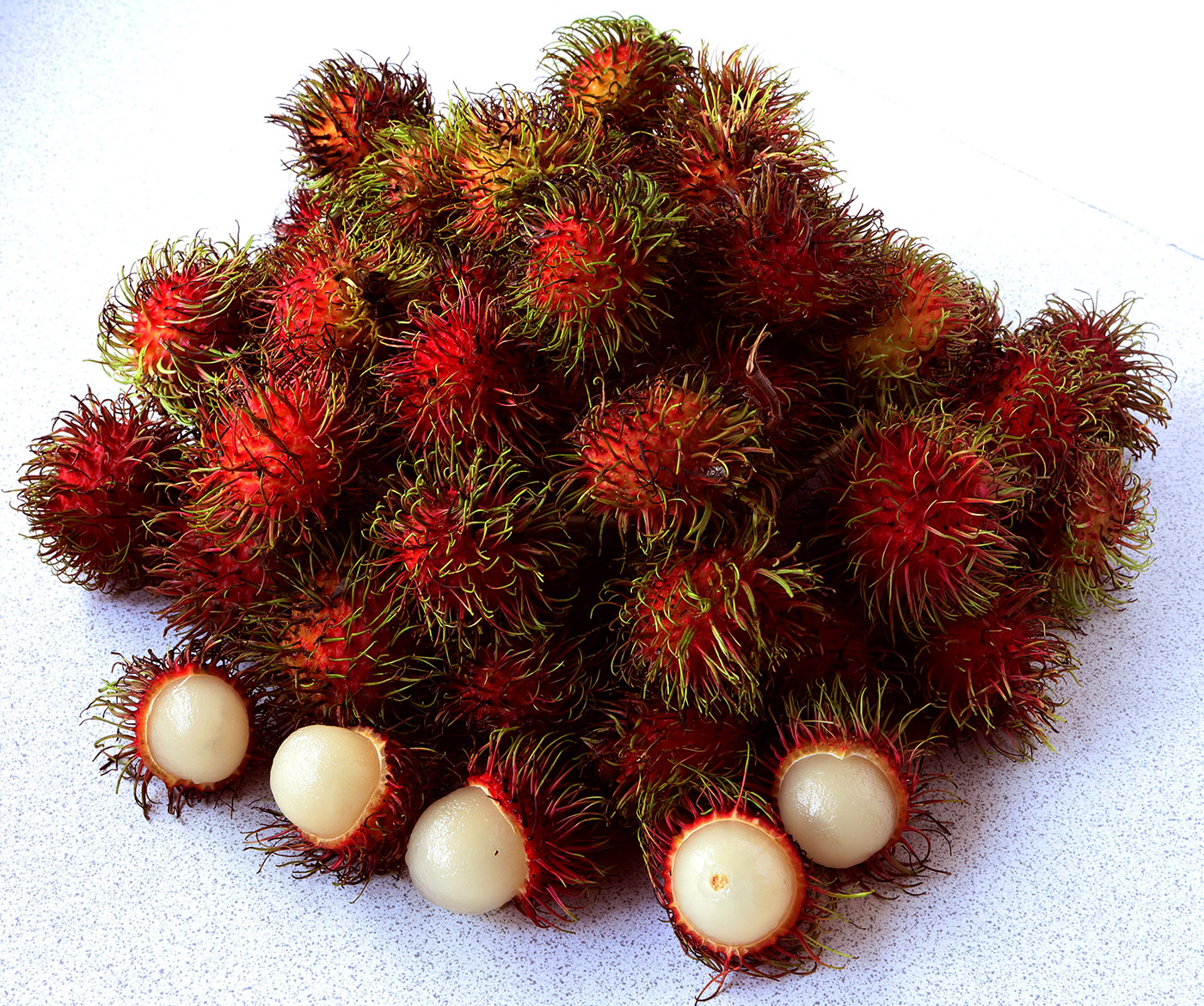 Rambutan s.jpg