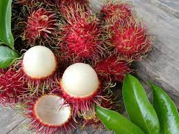 rambutans.jpg