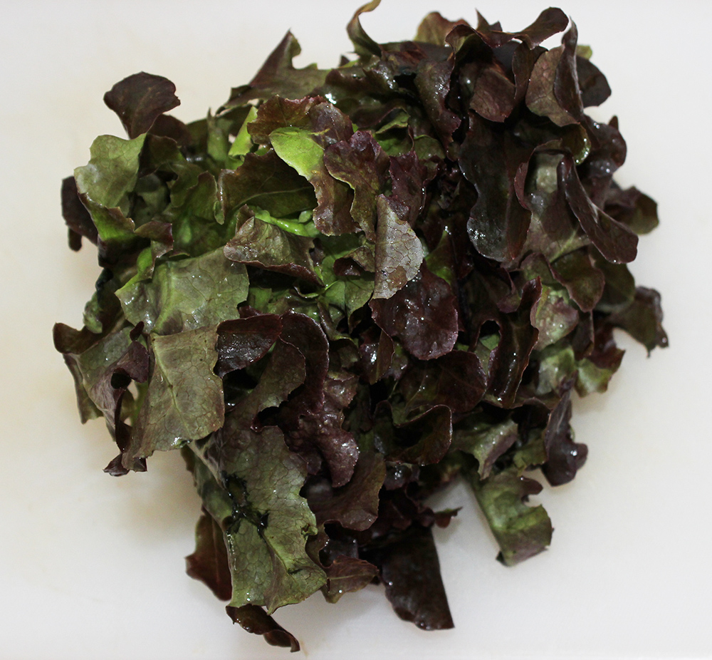 red oak lettuce s.jpg