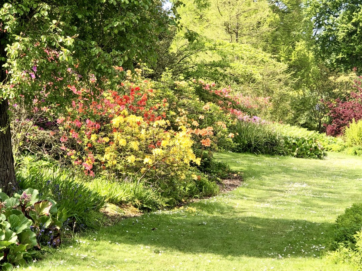 Sandringham Flowers