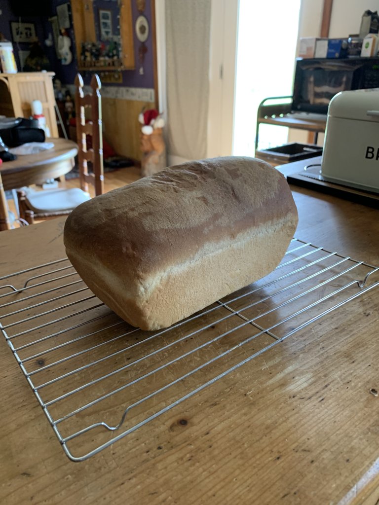 Sandwich Bread