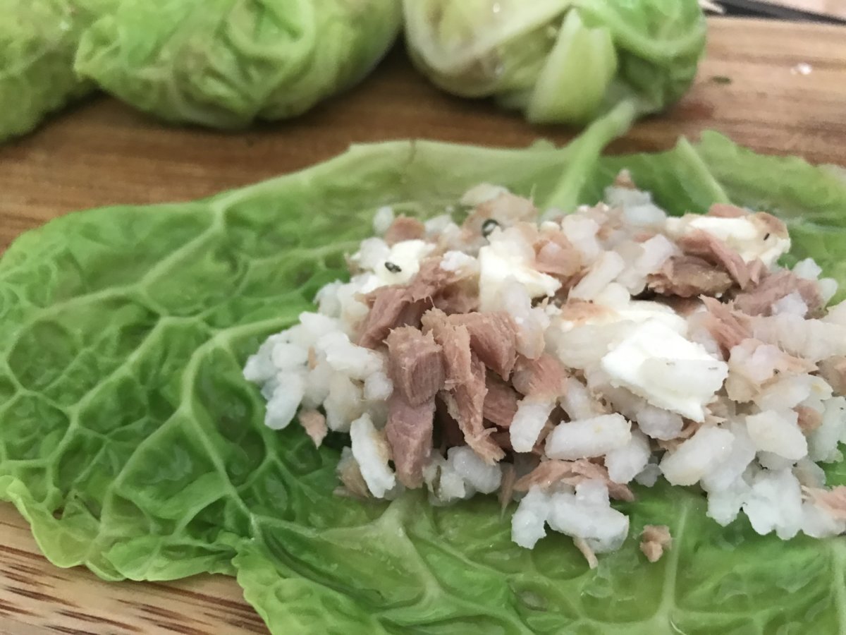 Savoy cabbage rolls.jpeg