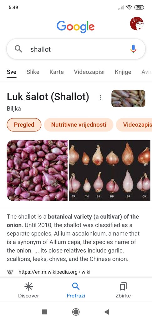 Screenshot_2021-11-06-05-49-39-048_com.google.android.googlequicksearchbox.jpg