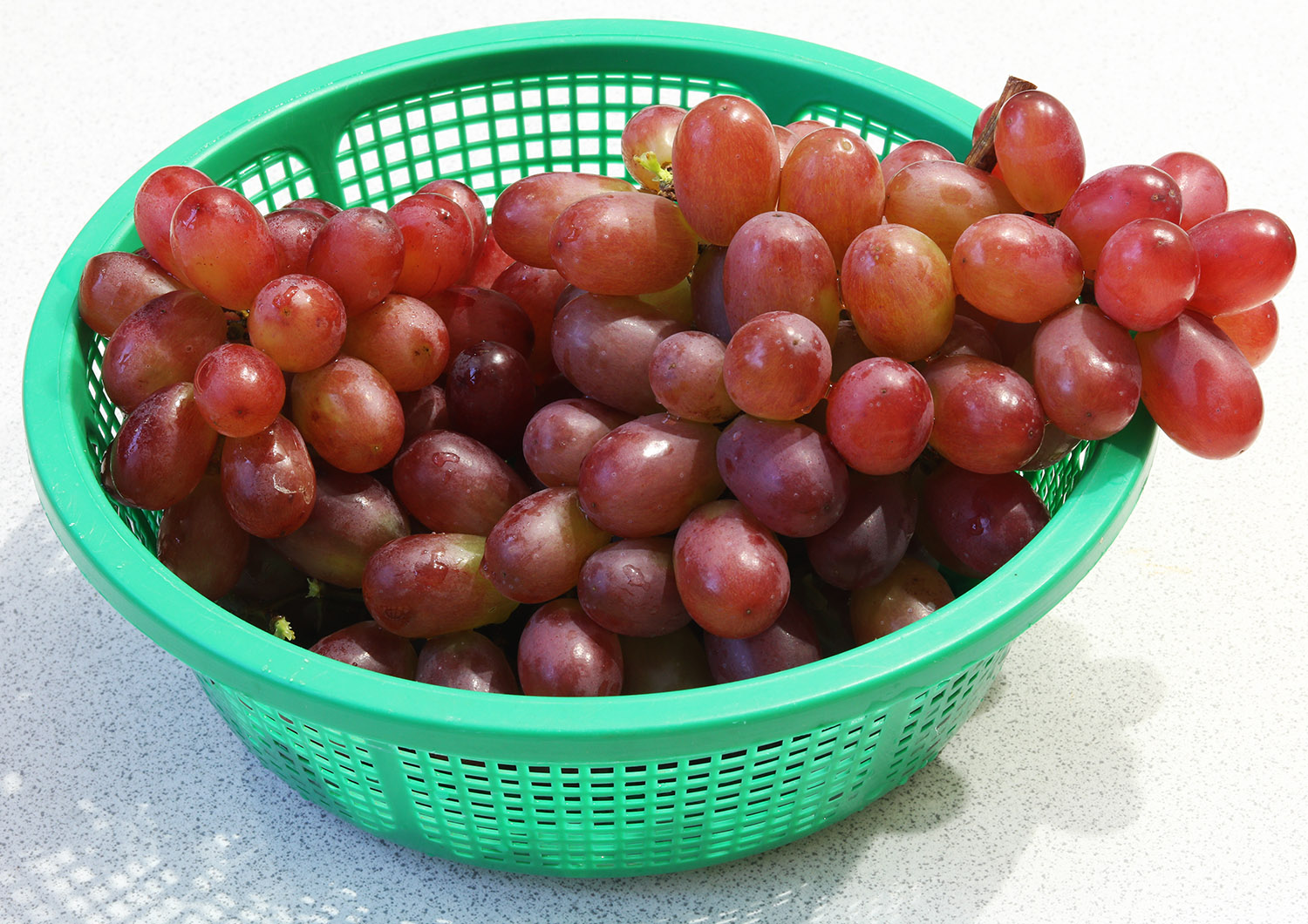 Seedless grapes s.jpg