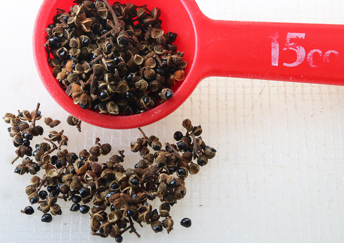 Sichuan pepper 4 s.jpg