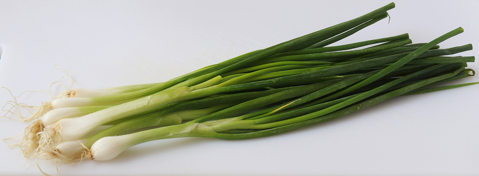 Sping onion 1 s.jpg