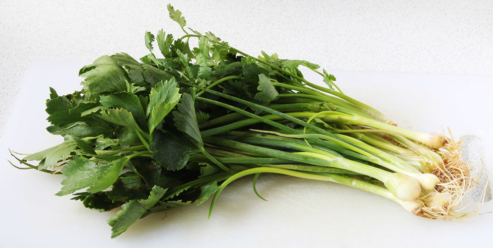 Spring onion, coriander and parsley