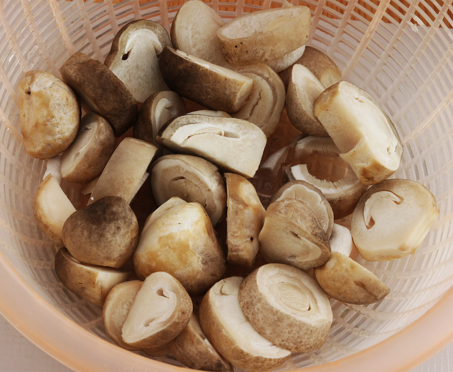 Straw mushrooms s.jpg