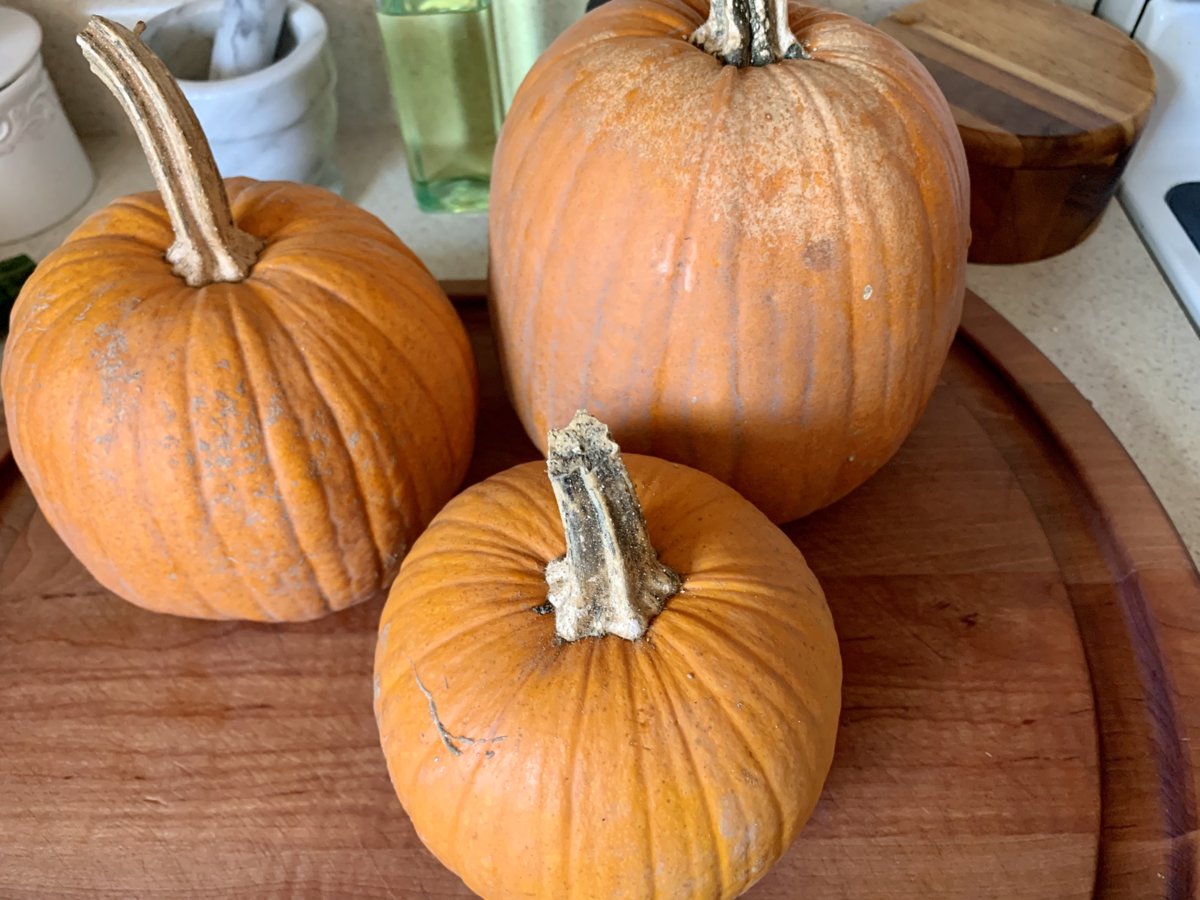 Sugar Pumpkins