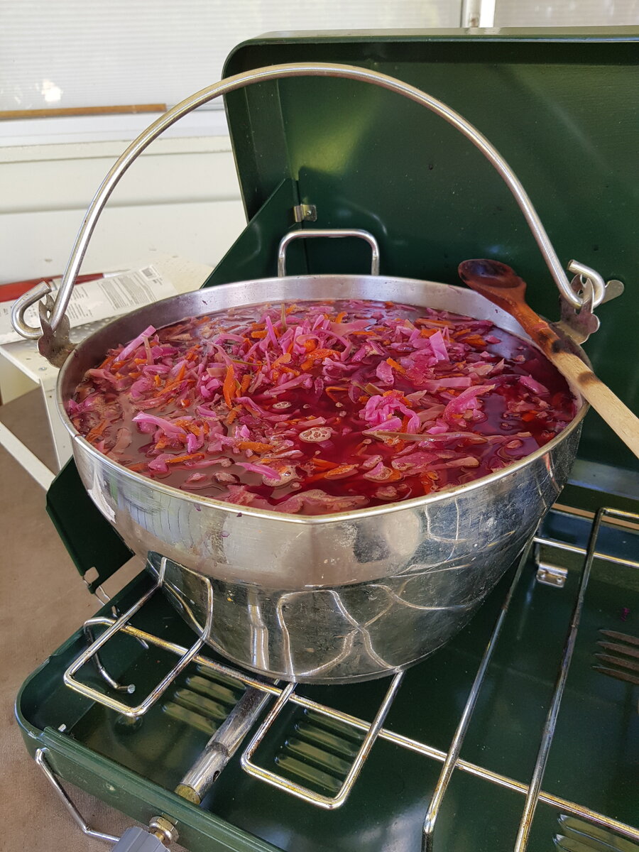 Sweet & Sour Red Cabbage Soup