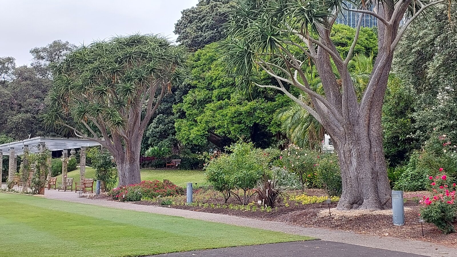 Sydney Botanical Gardens