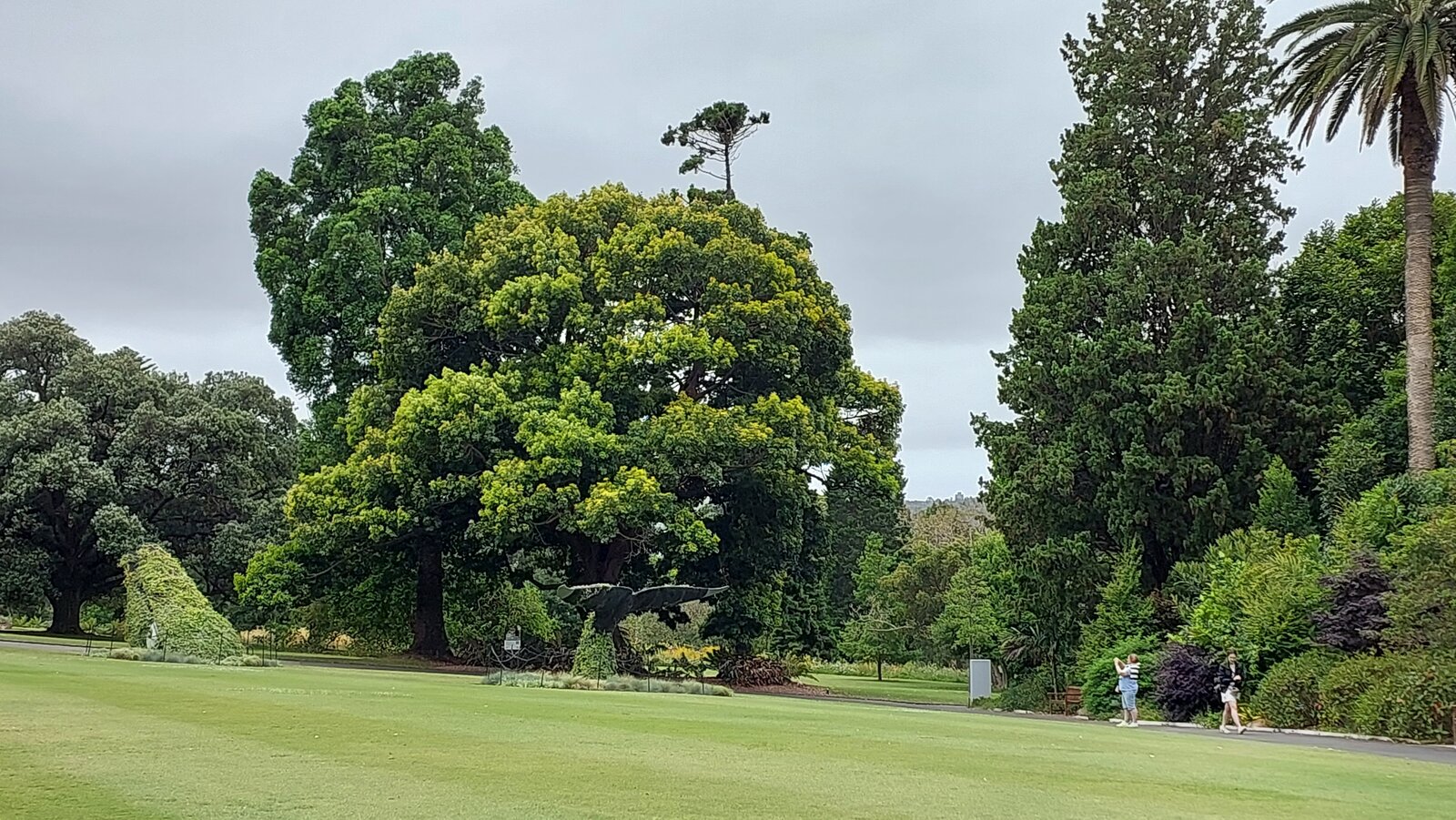 Sydney Botanical Gardens