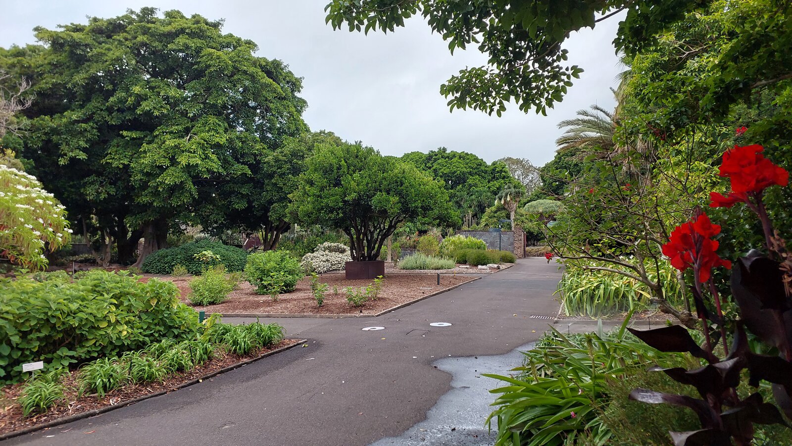 Sydney Botanical Gardens