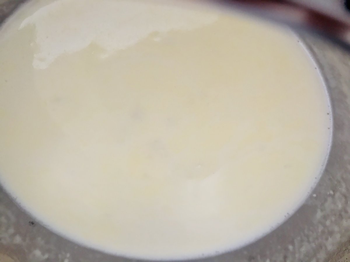 Taleggio cheese sauce.jpeg