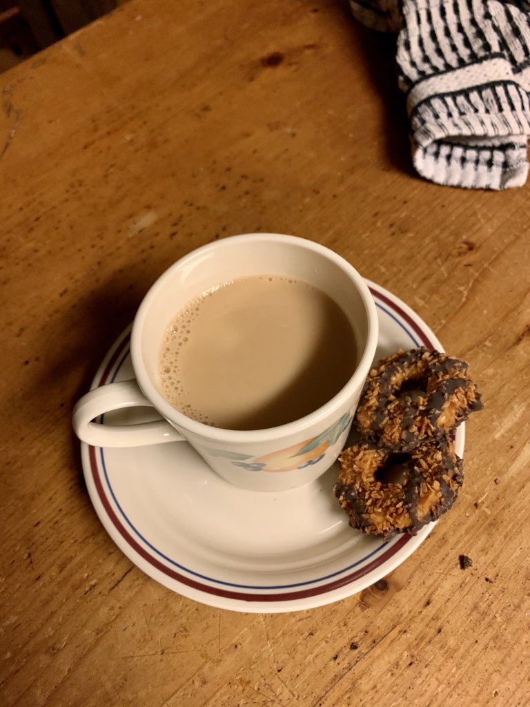 Tea And GS Cookies