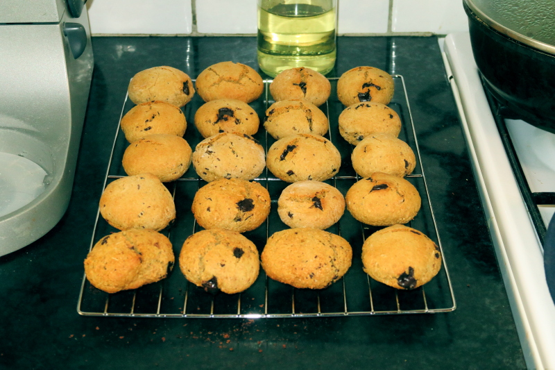 The Avocado Chocolate Chunk Cookie/Scone Experiment