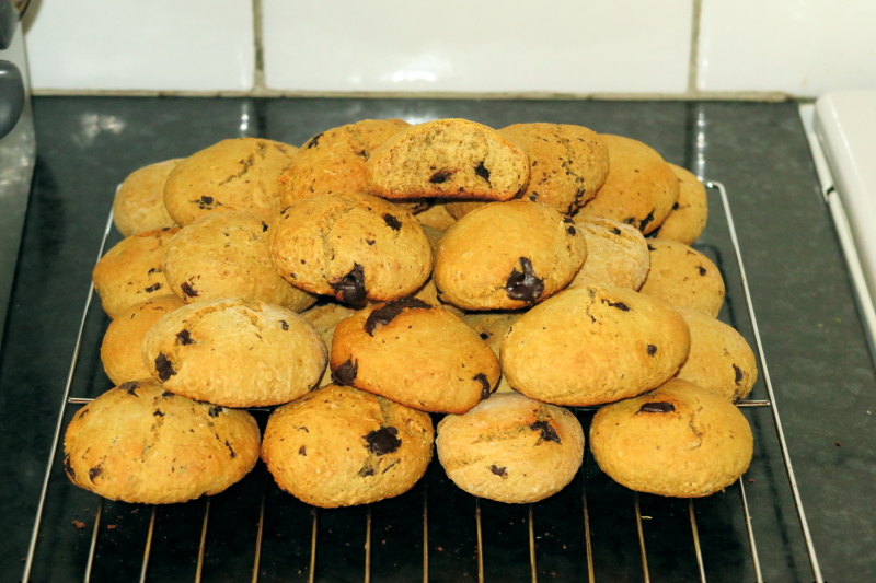 The Avocado Chocolate Chunk Cookie/Scone Experiment