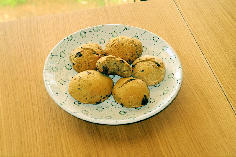 The Avocado Chocolate Chunk Cookie/Scone Experiment