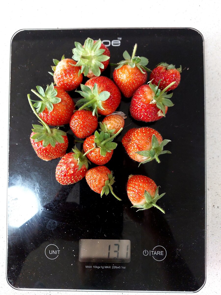 The latest strawberries