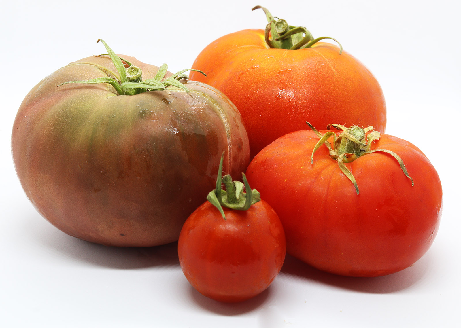 Tomatoes 3 s.jpg