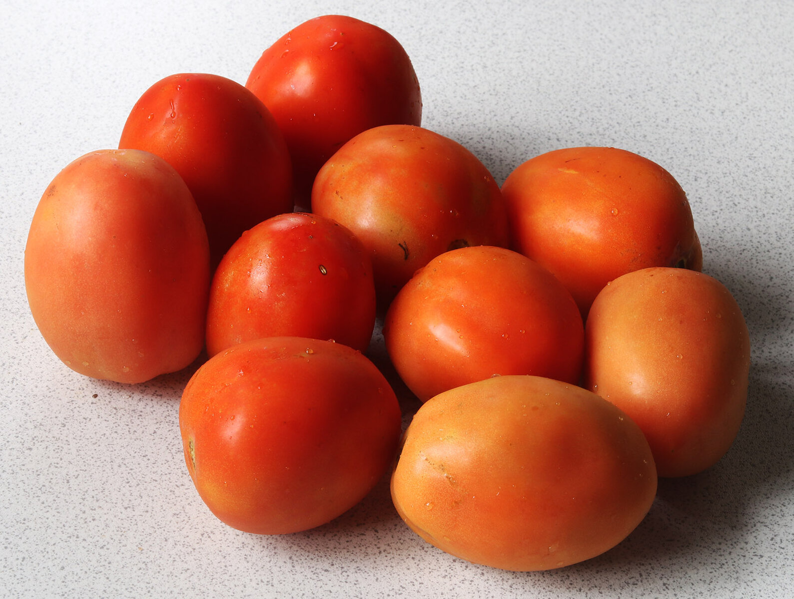 Tomatoes 4 s.jpg