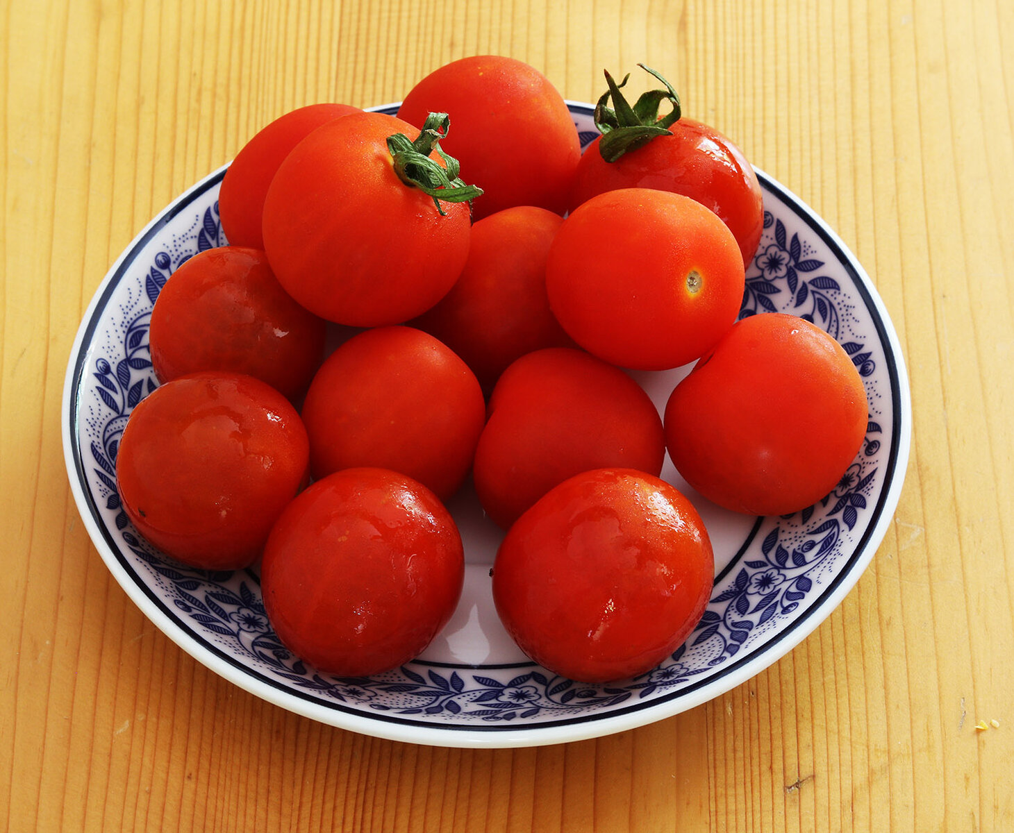 Tomatoes 4 s.jpg