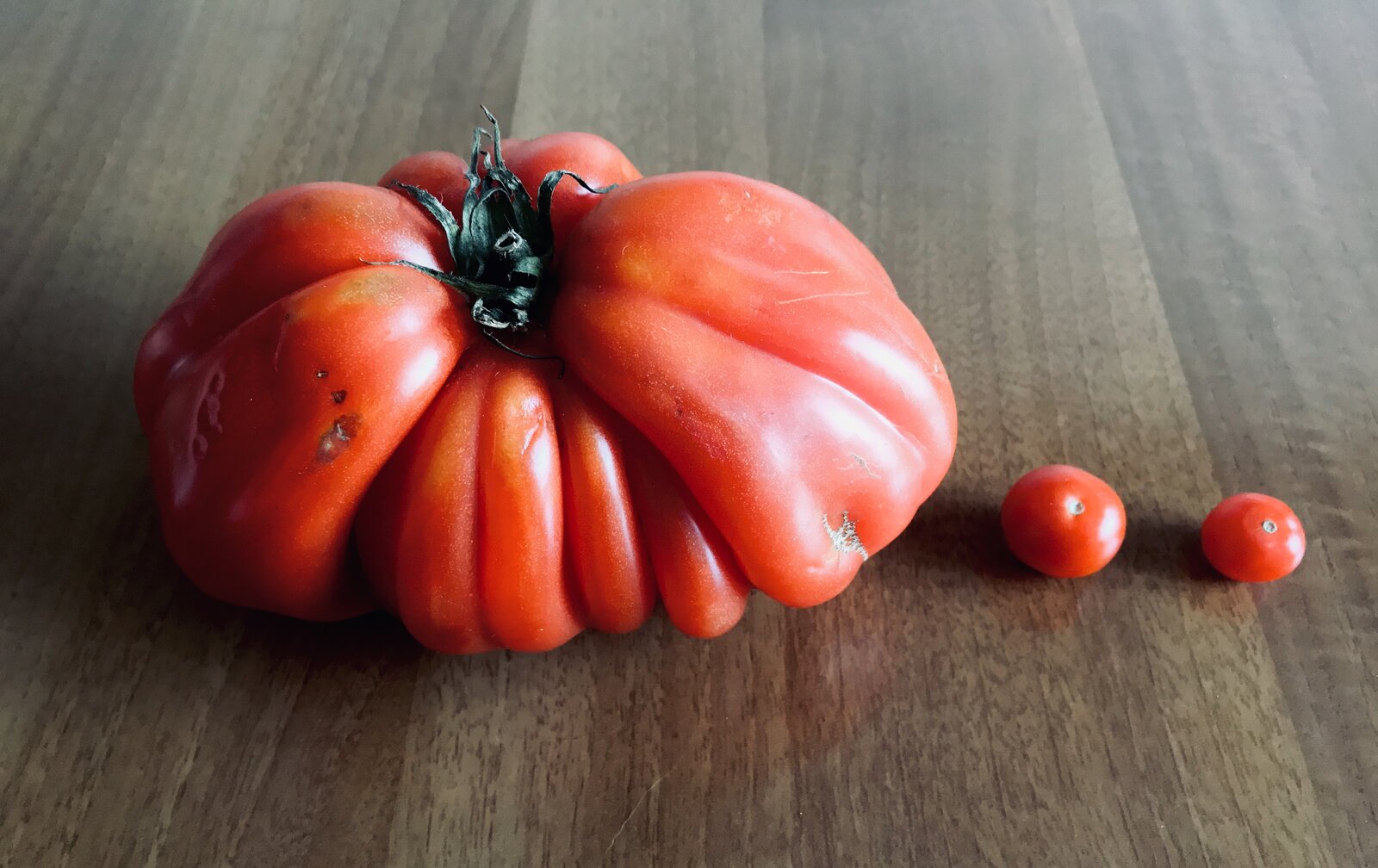 Tomatoes.jpeg