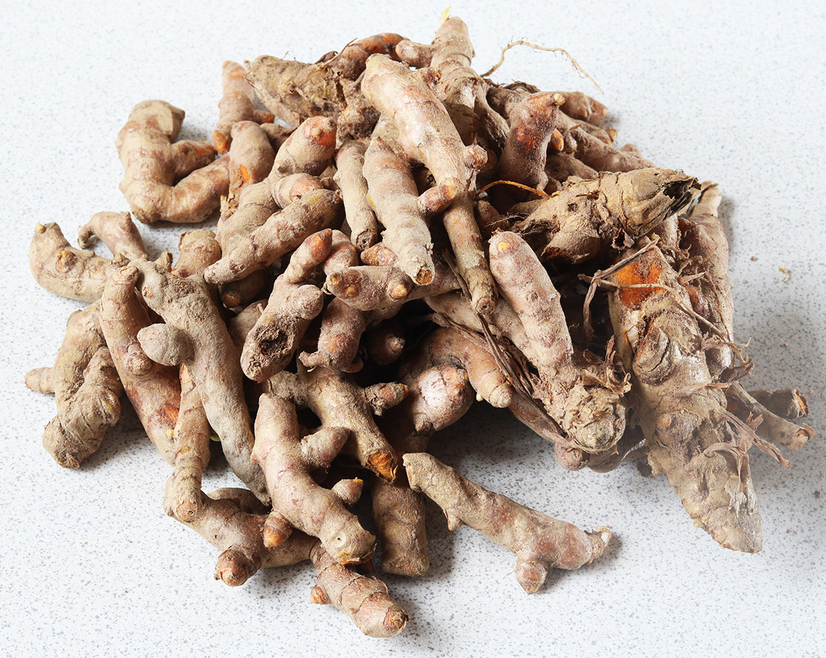 turmeric root s.jpg