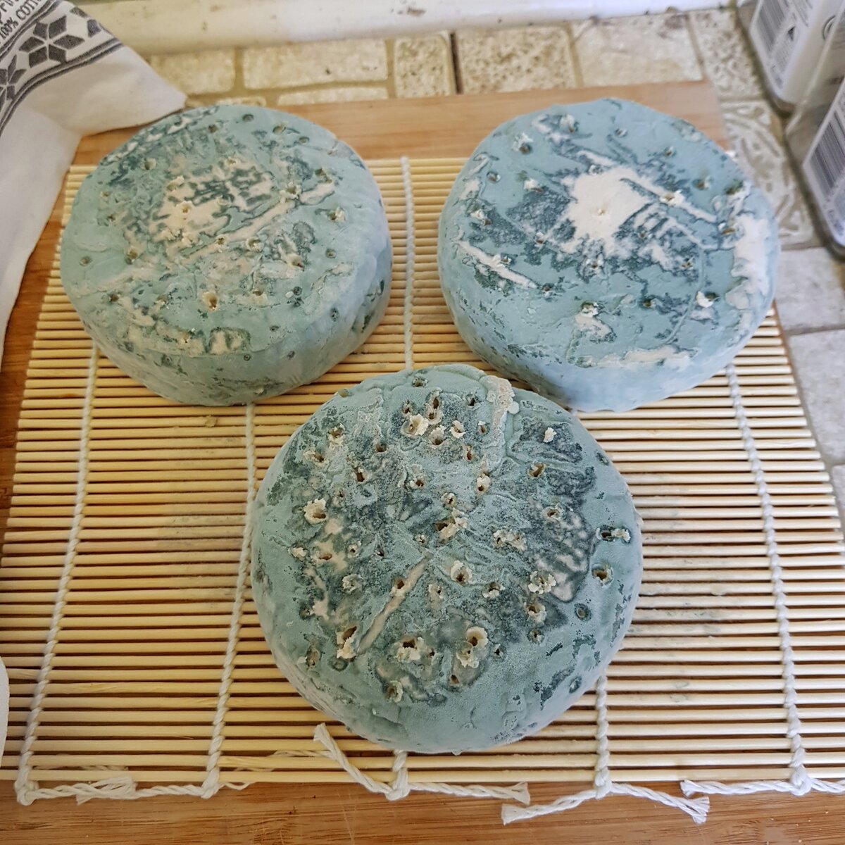 Vegan Blue Cheese aging