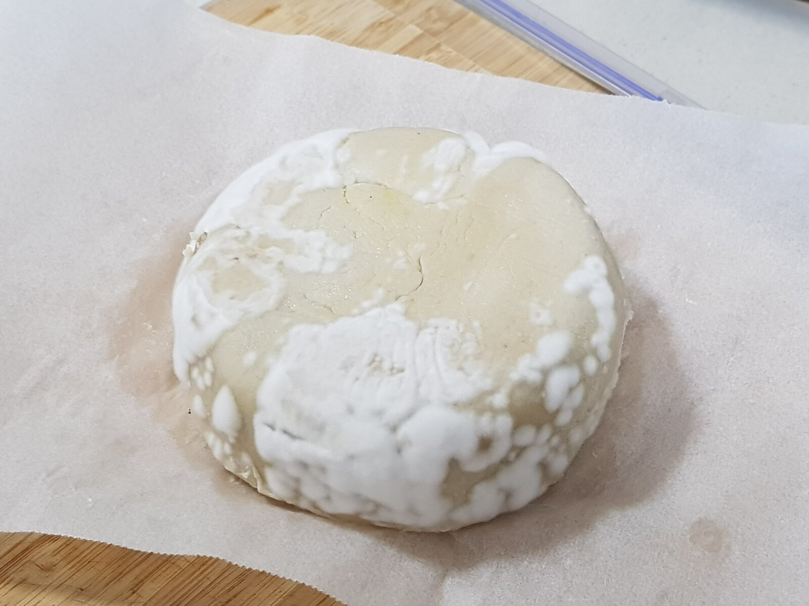 Vegan Camembert - day 05