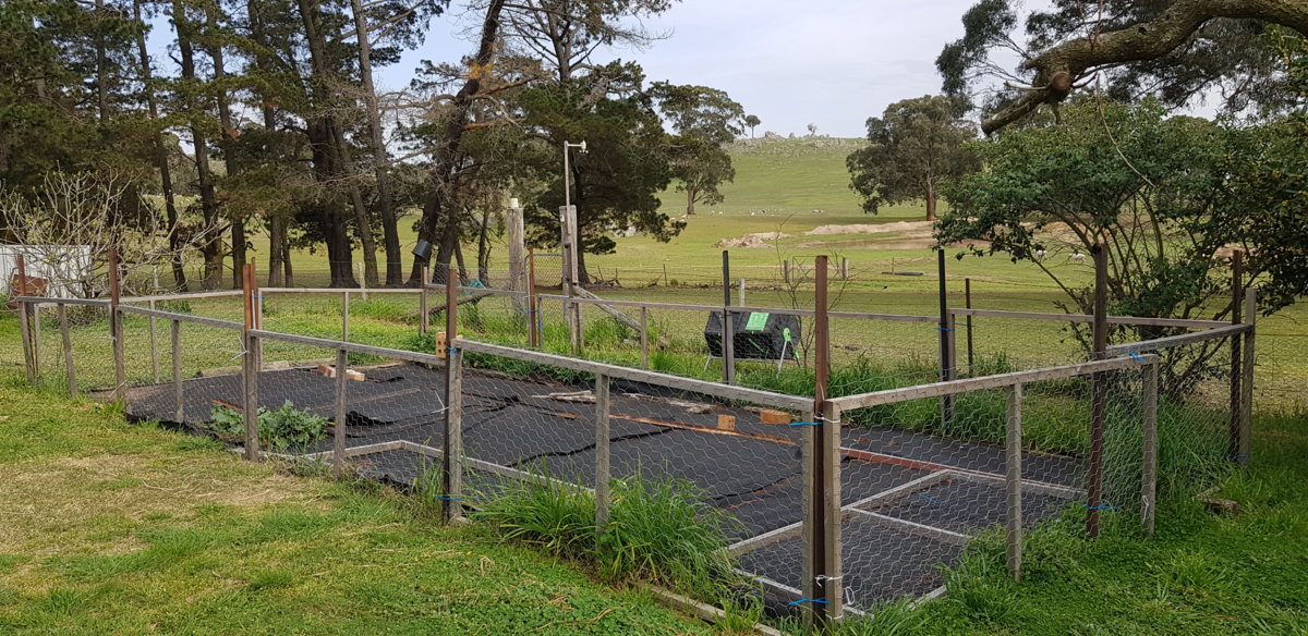 Vegetable Plot