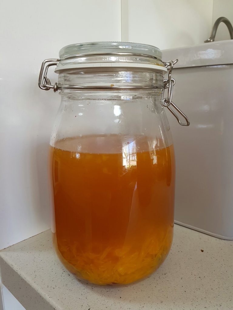 Water kefir (orange and lemon flavour)