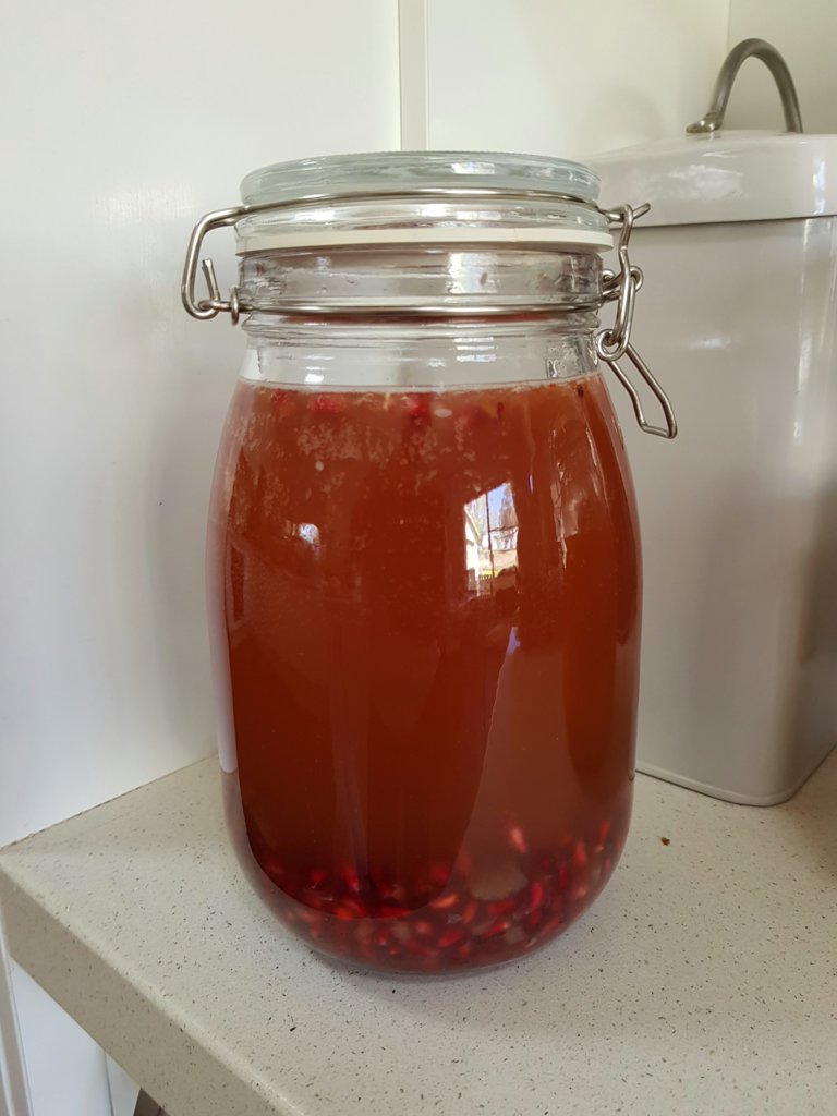 Water kefir (pomegranate flavour)