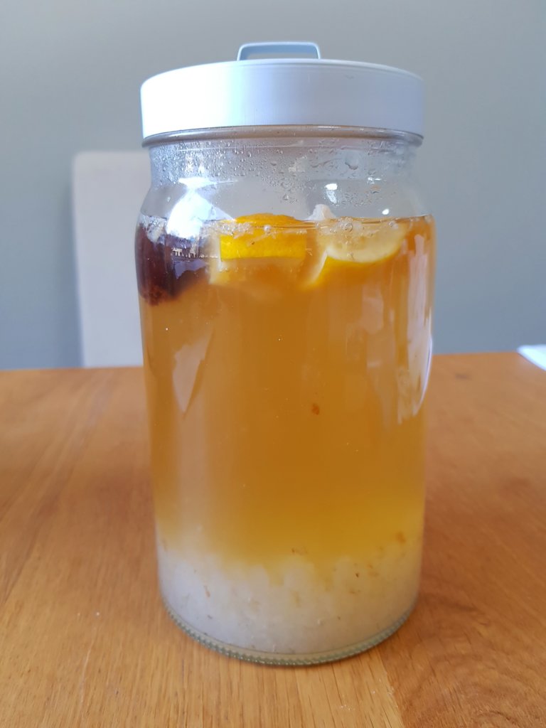 Water Kefir