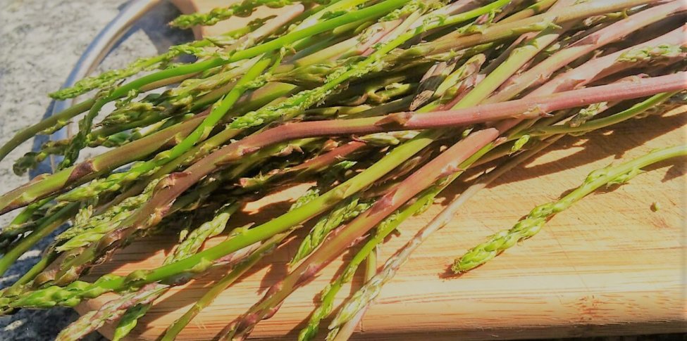 Wild asparagus