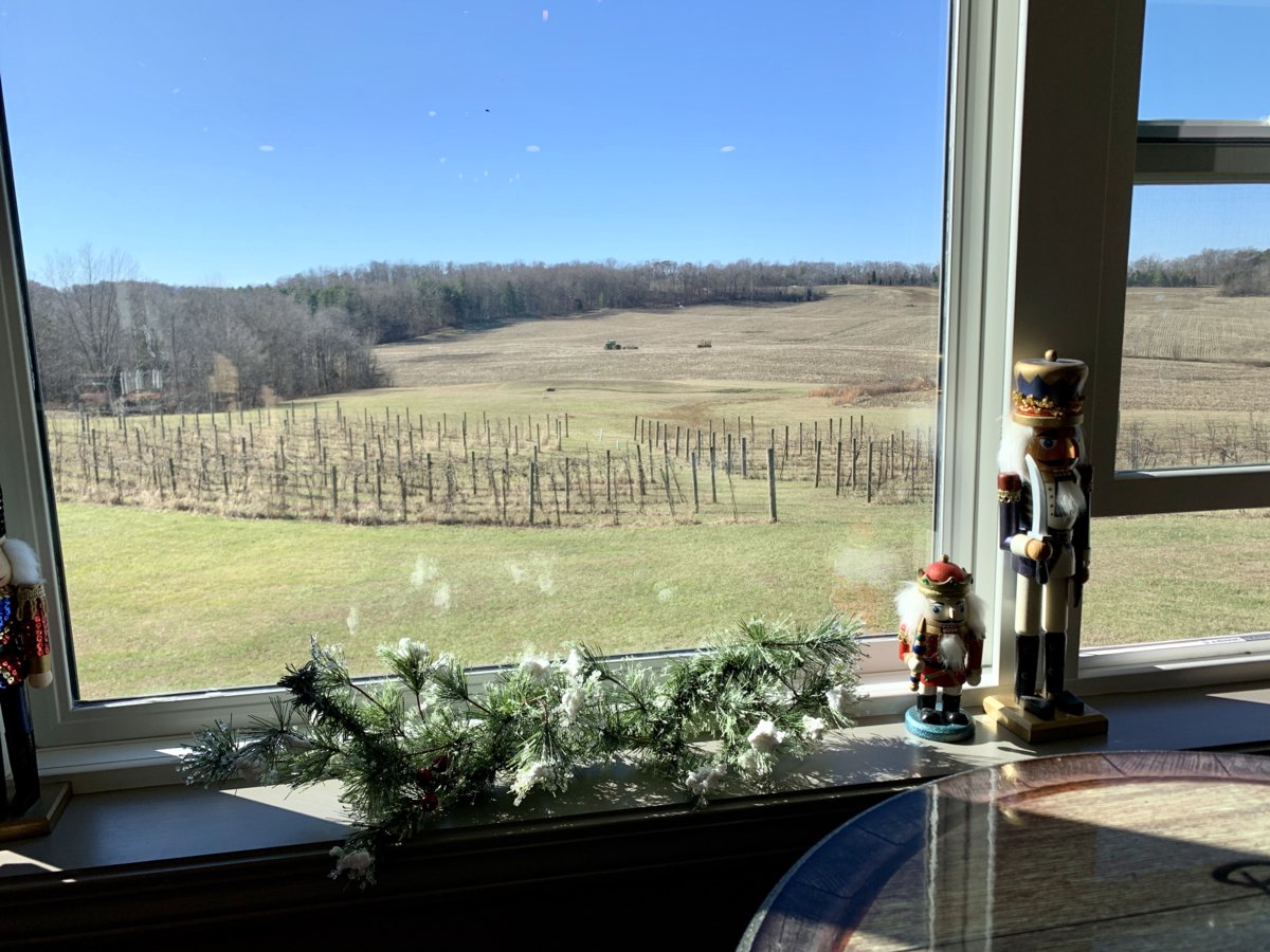 Winzerwald Tasting Room View