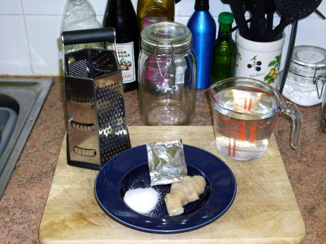 GingerBeerPlant001.jpg