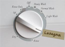 Dishwasher%20Lasagna%20Setting.jpg