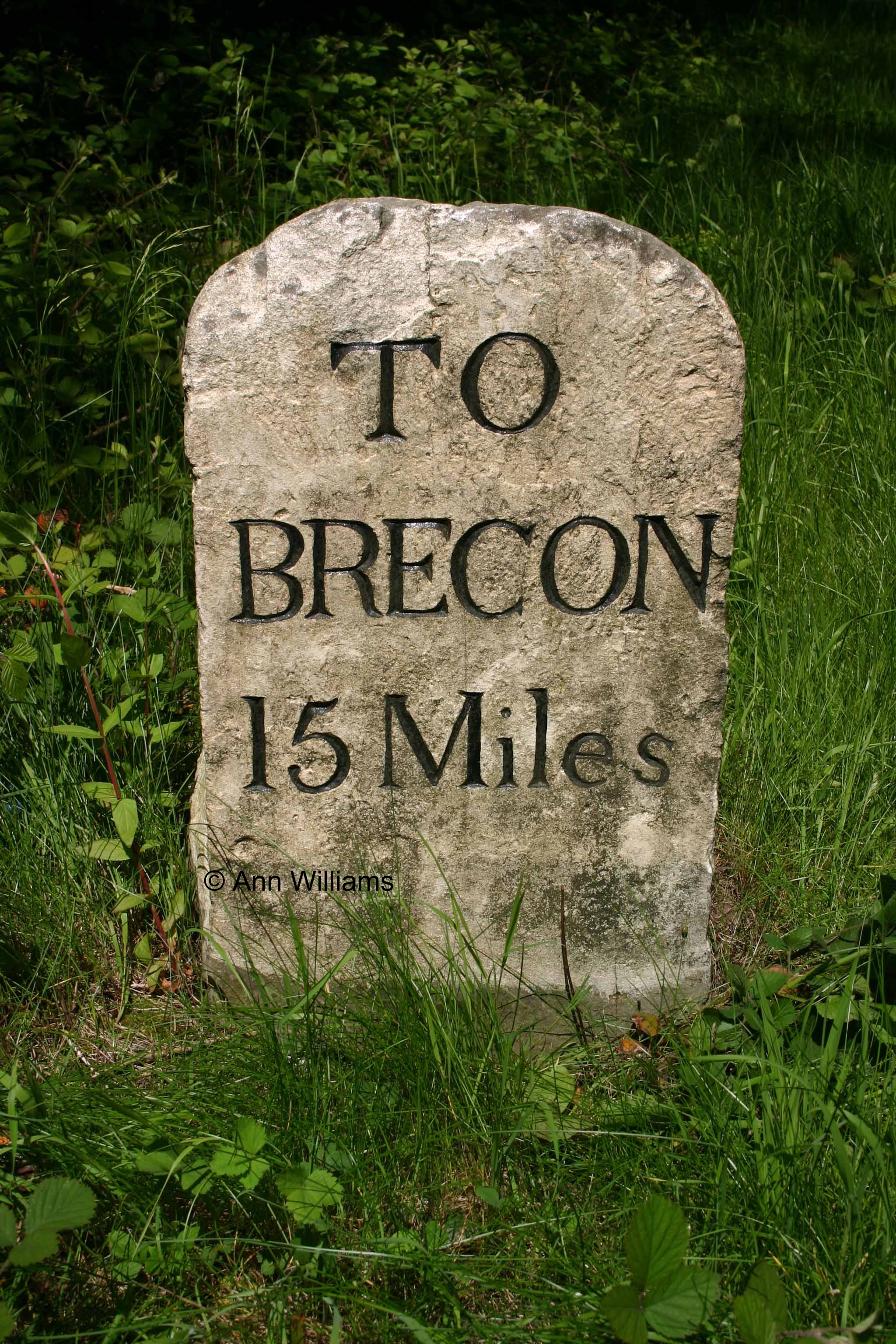 Milestone_A470_main.jpg
