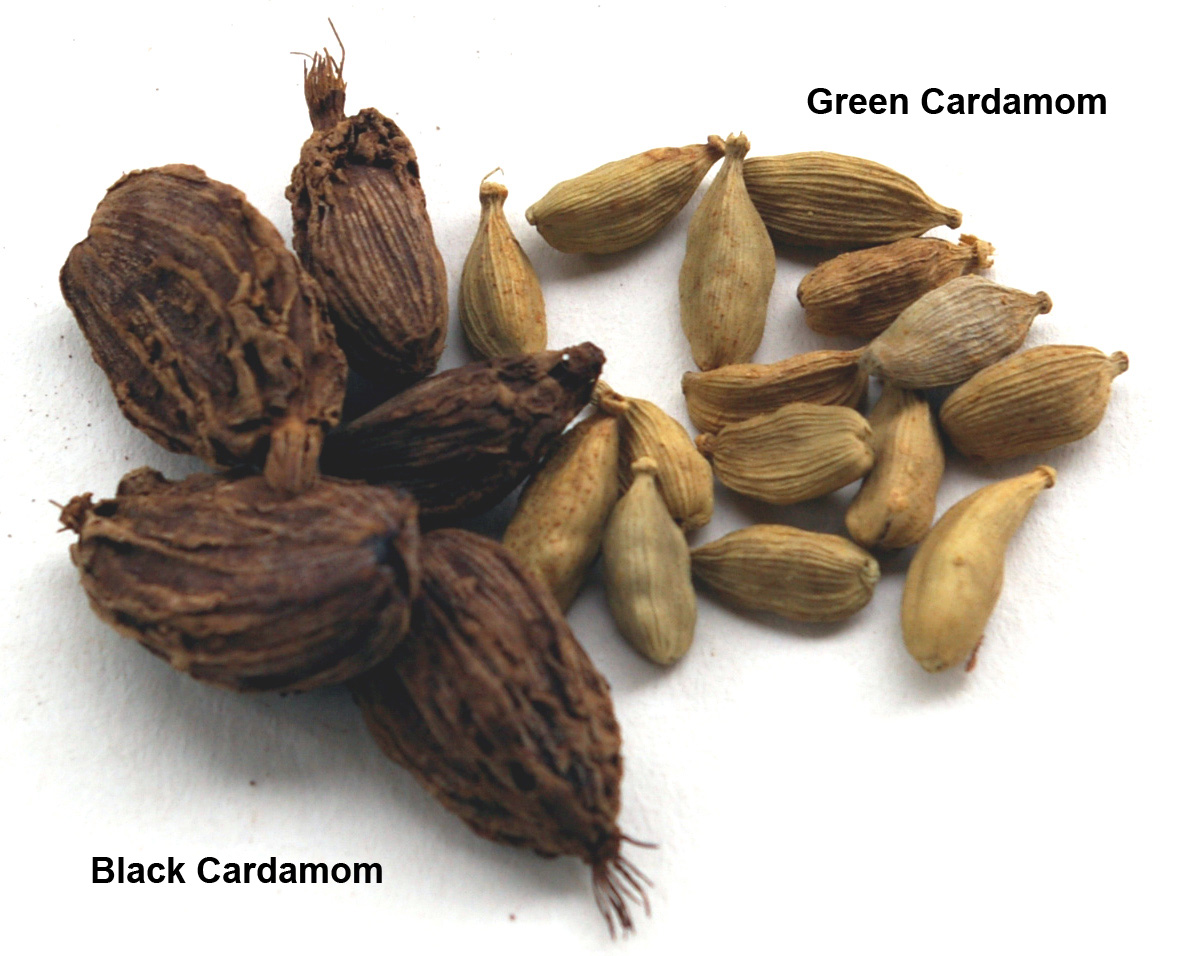 cardamom.jpg