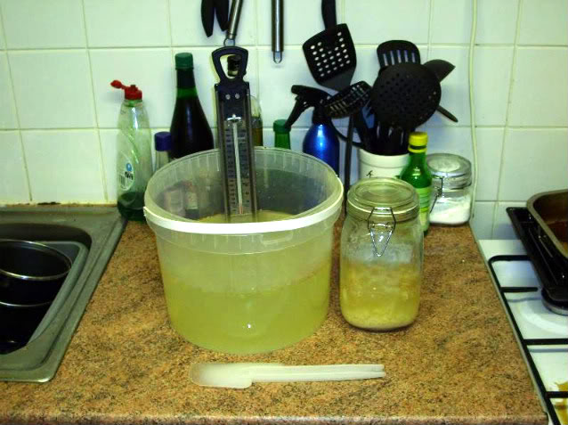 Gingerbeer003.jpg