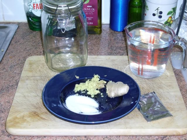 GingerBeerPlant002.jpg