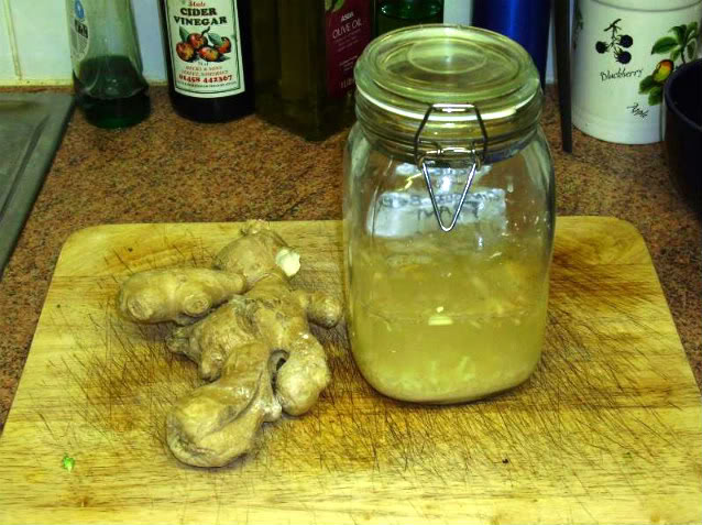 Gingerbeer001.jpg