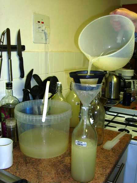 Gingerbeer009.jpg
