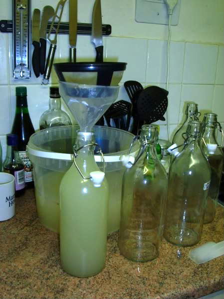 Gingerbeer010.jpg