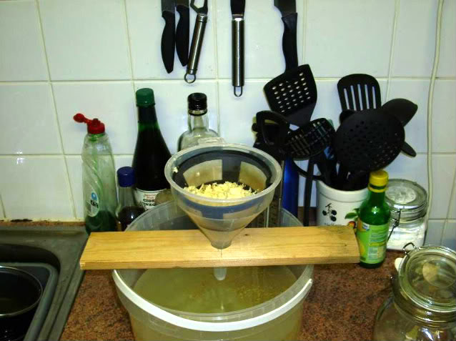 Gingerbeer007.jpg