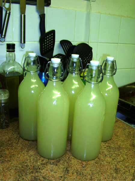 Gingerbeer011.jpg